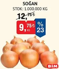 SOĞAN KG SOĞAN KG